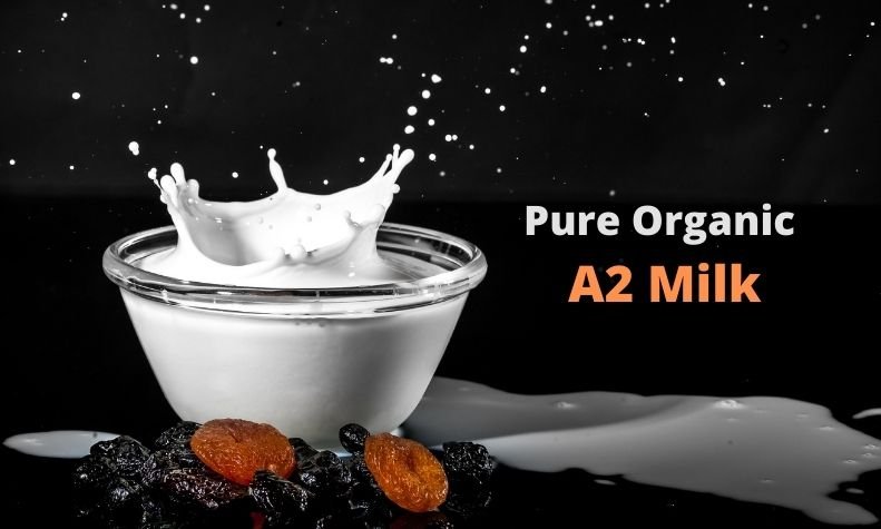 Pure Organic A2 Milk