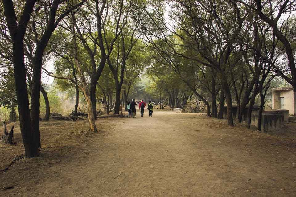 Sultanpur-National-Park-Gurgaon