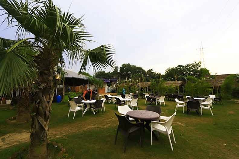 Best Nature Themed Restaurants In Gurgaon | We Are Gurgaon