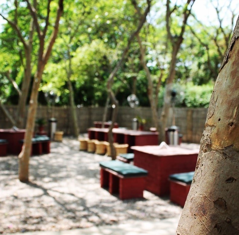 roots-cafe-in-the-park-gurgaon
