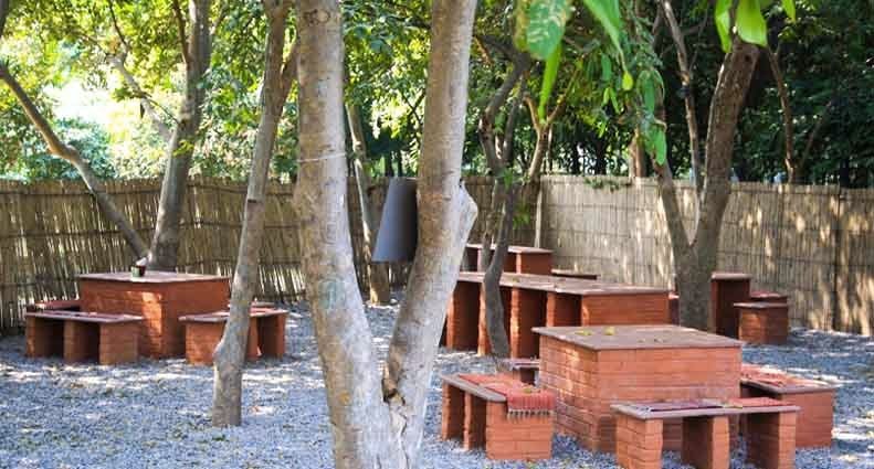 roots cafe in the park gurgaon