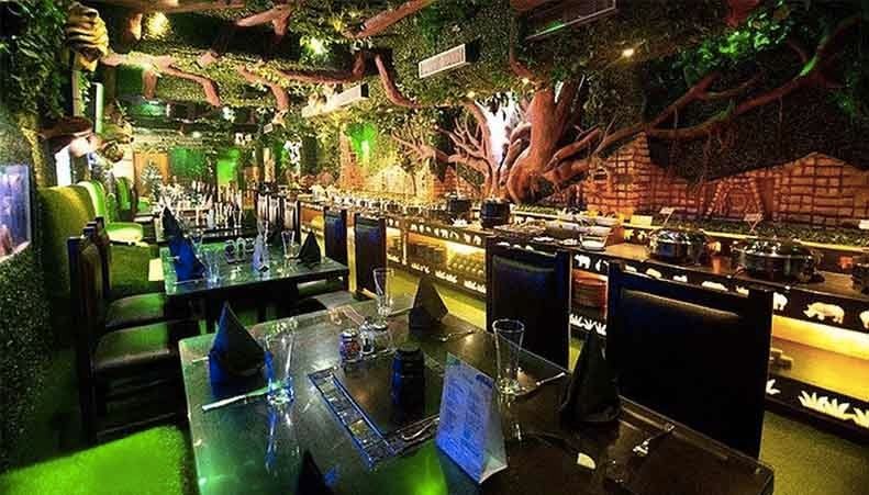 jungle jamboree gurgaon