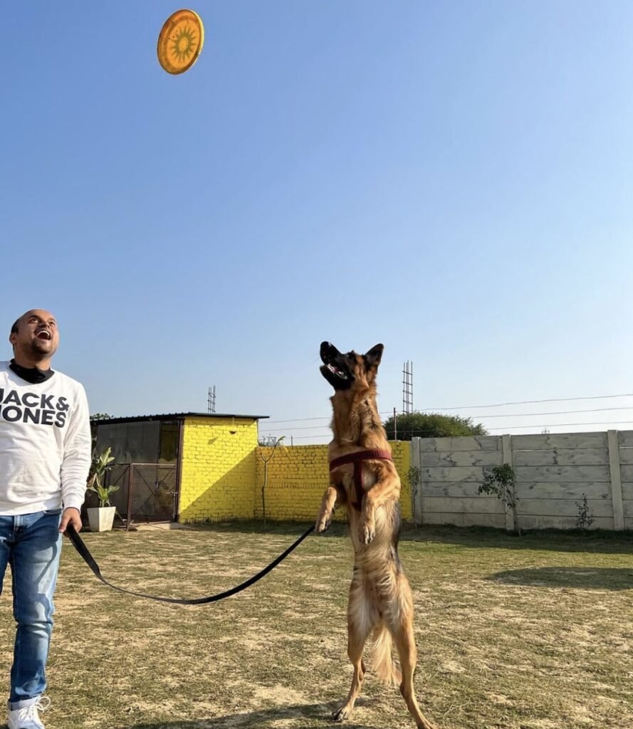 Elsa Dogpark Cafe gurgaon