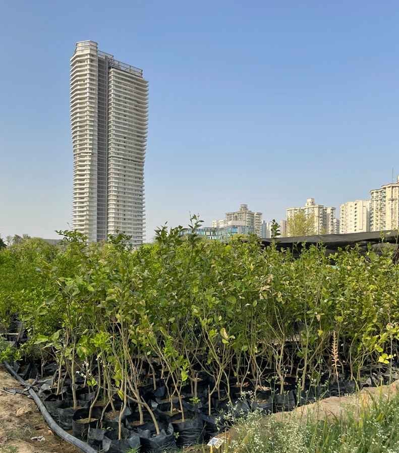 Green Heaven Plantscape Gurgaon Green_Heaven_Plantscape