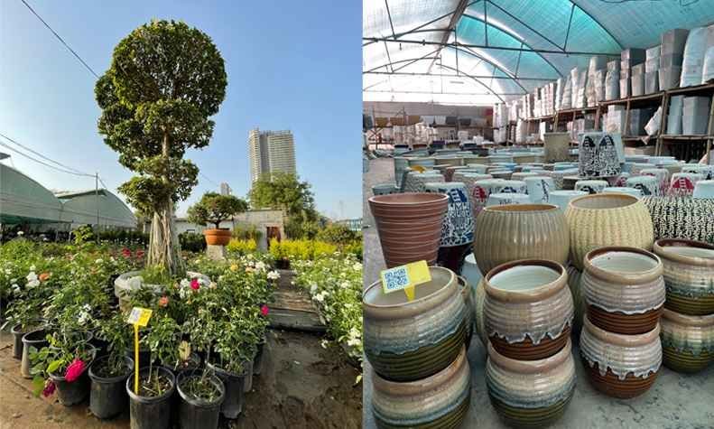 Green_Heaven_Plantscape_Gurgaon