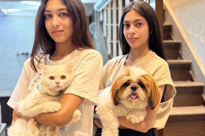 Pamper Your Paws at Gurgaon's Ultimate Pet Haven: House of Howl