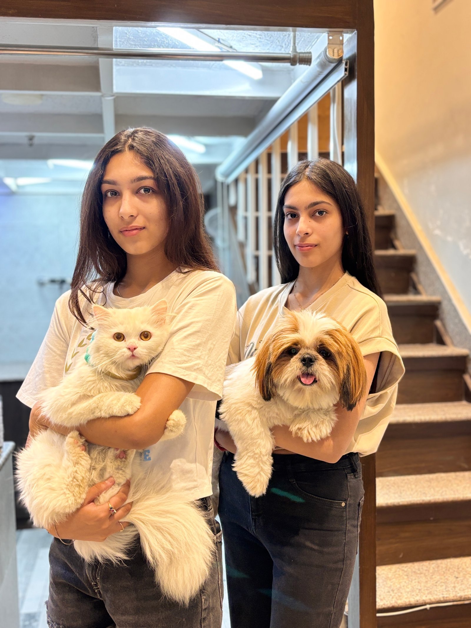 Pamper Your Paws at Gurgaon's Ultimate Pet Haven: House of Howl