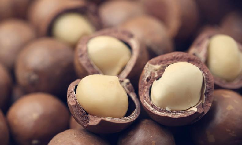 Macadamia nuts