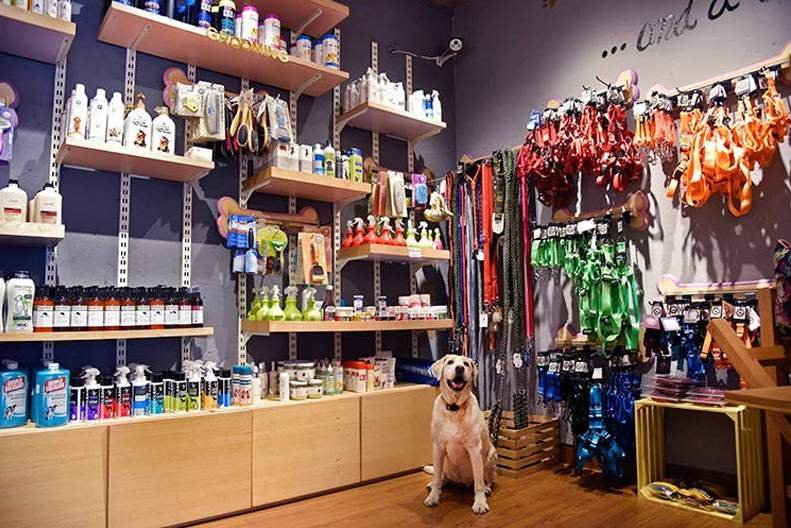 best pet shops in gurgaon Pet-Gallery-one-stop-pet-shop-gurgaon