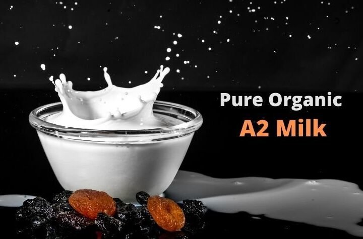 Get Best Immunity Booster Milk at Your Doorstep in Gurgaon