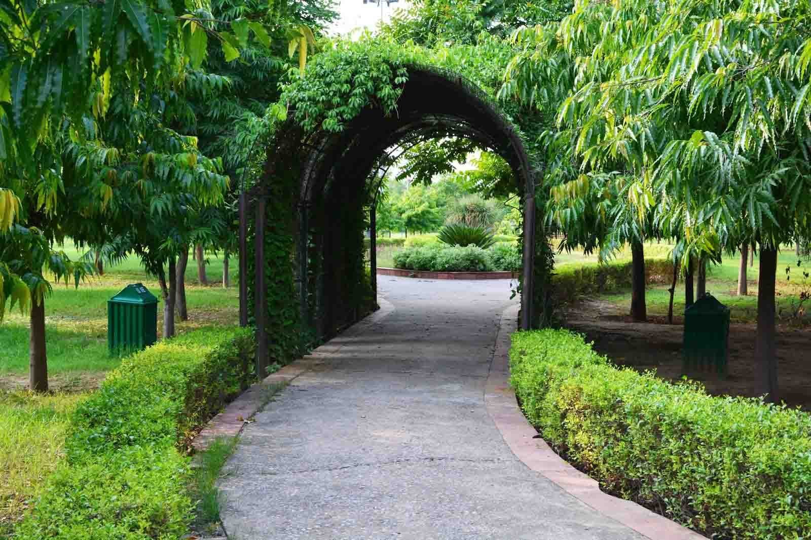 tau devi lal bio diversity park gurgaon