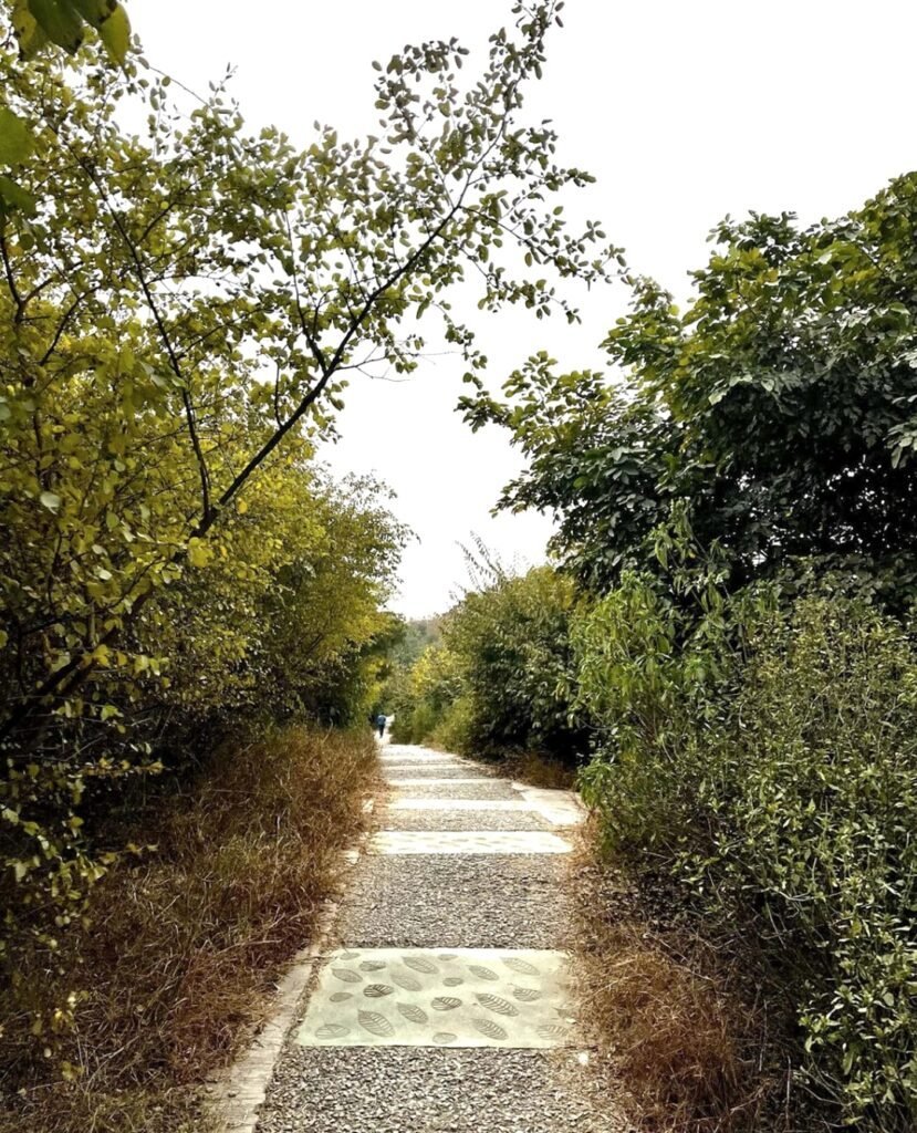 aravalli-bio-diversity-park-gurgaon