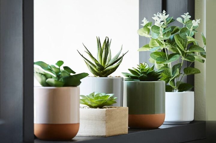 Designer Picks: The Best Decorative Artificial Plant, Trees, Grass Shops in Gurgaon