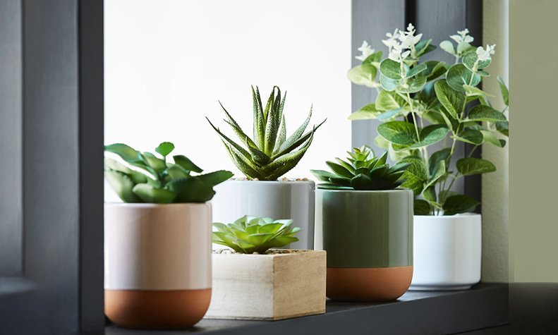 Designer Picks: The Best Decorative Artificial Plant, Trees, Grass Shops in Gurgaon