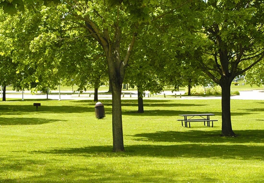 Gurgaon's Most Beautiful Parks & Gardens With (Photos)