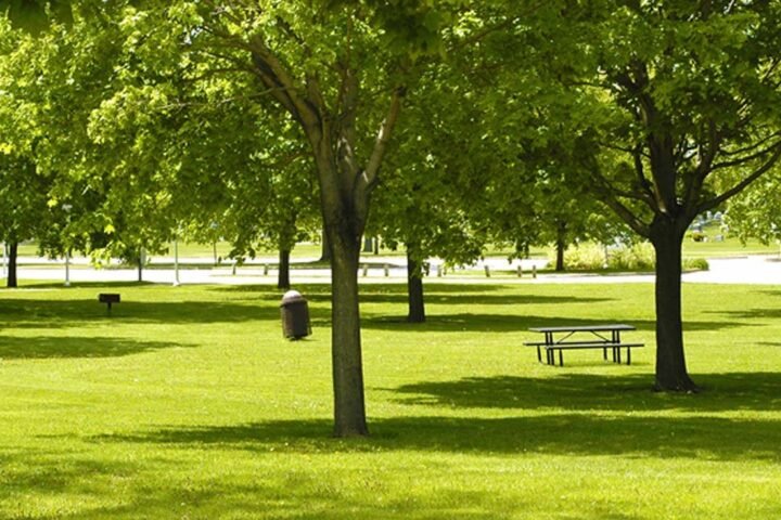 Gurgaon's Most Beautiful Parks & Gardens With (Photos)