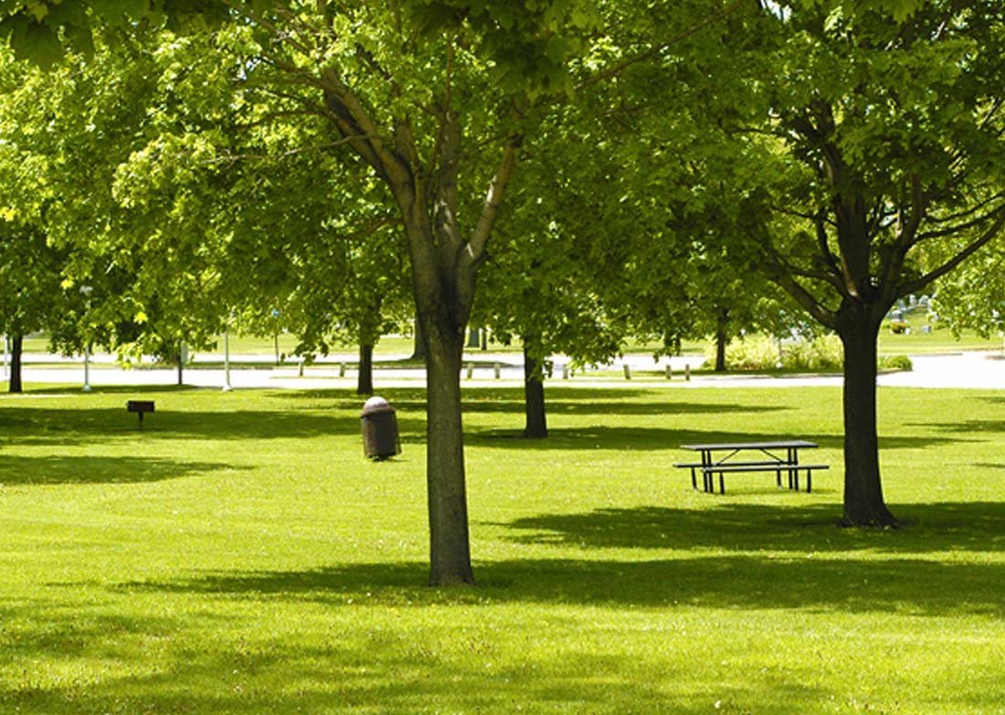 Gurgaon's Most Beautiful Parks & Gardens With (Photos)