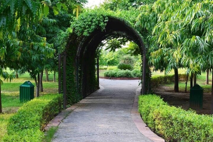Best 6 Parks to Enhance your morning strolls in Gurgaon!