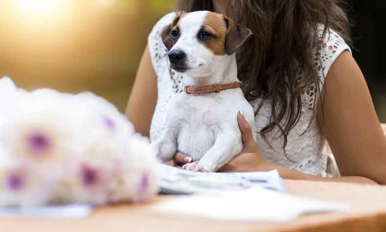 Best Pet Friendly Cafes In Gurgaon!