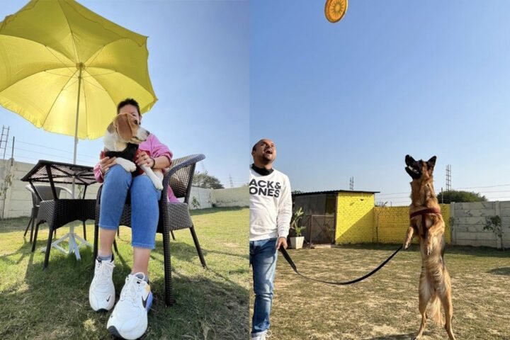 Best Pet Friendly Parks in Gurgaon Every Pet Parent Needs to Know!