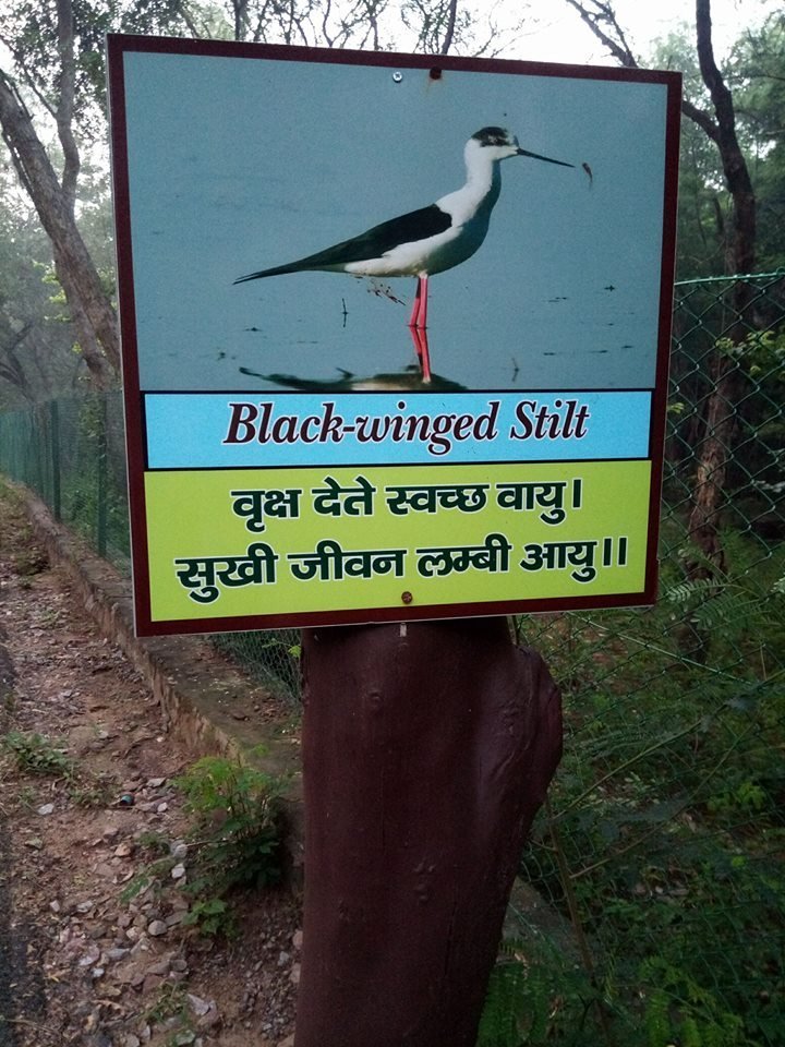bhondsi nature camp