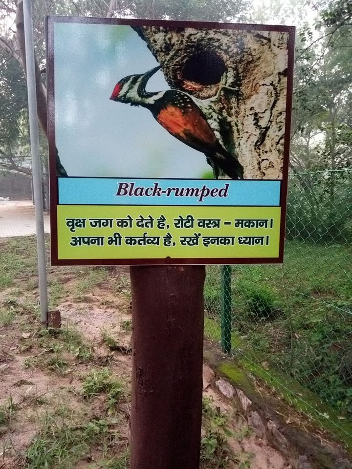 bhondsi nature camp