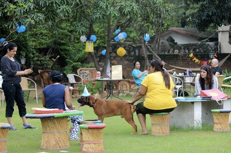 cafe canine gurgaon