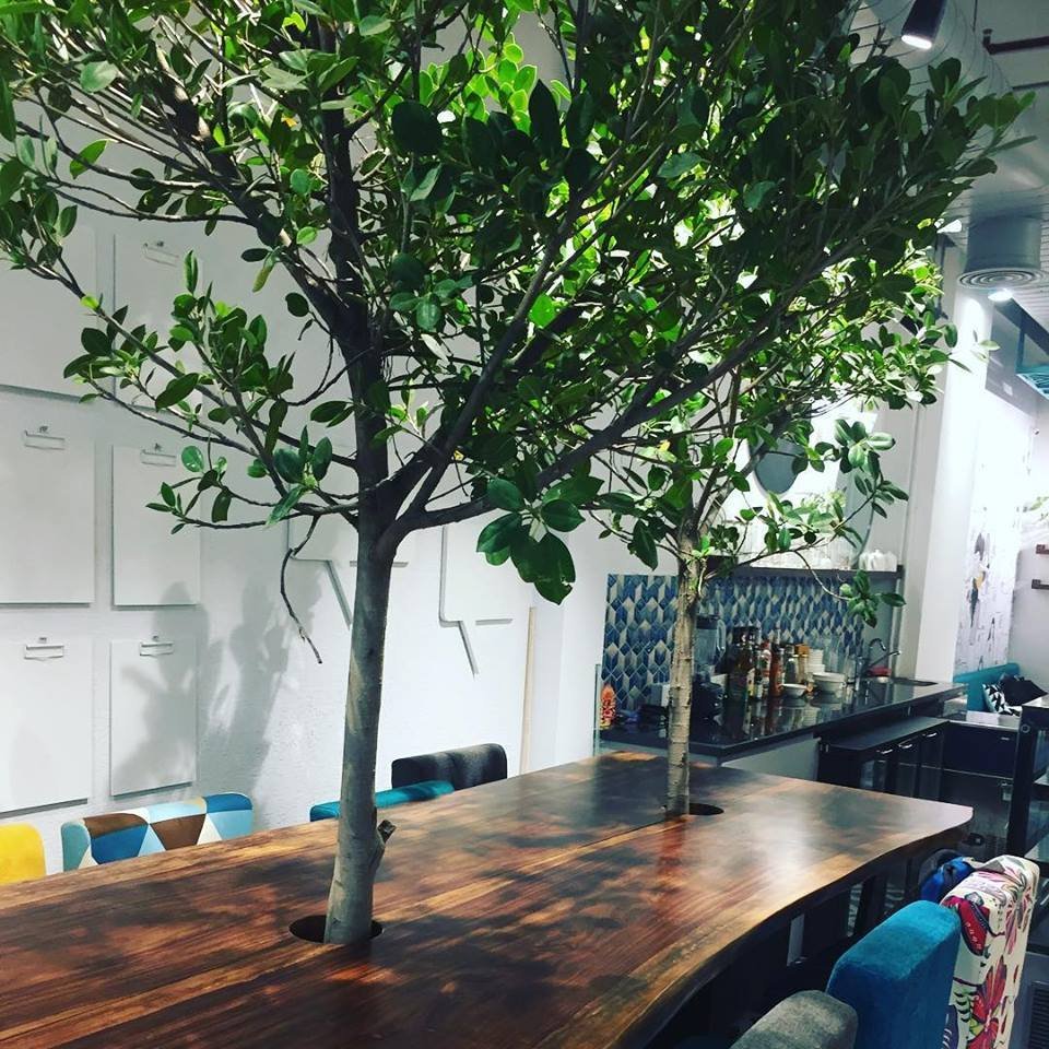 cafe staywoke golf course road gurgaon
