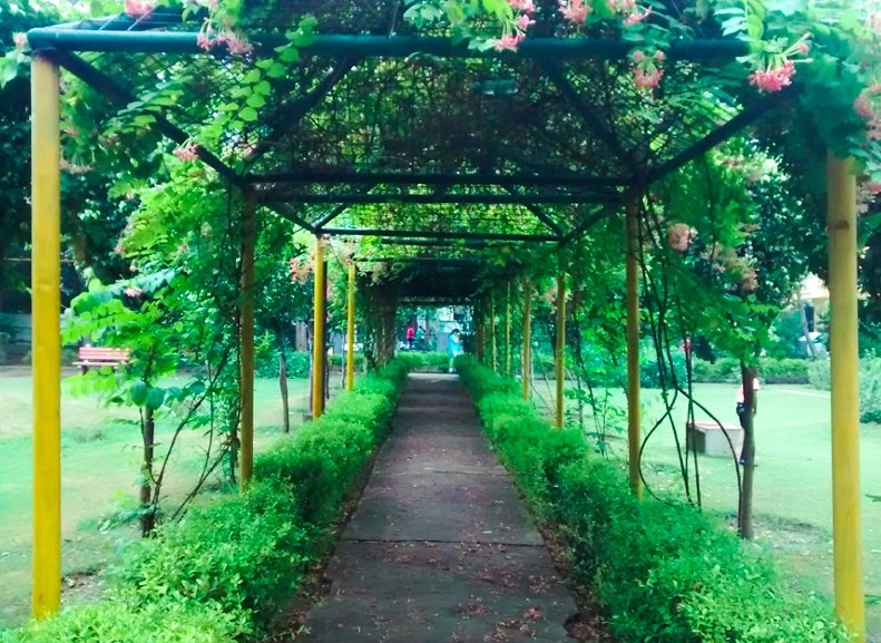 best parks couples gurgaon central-park-sector-15-gurgaon