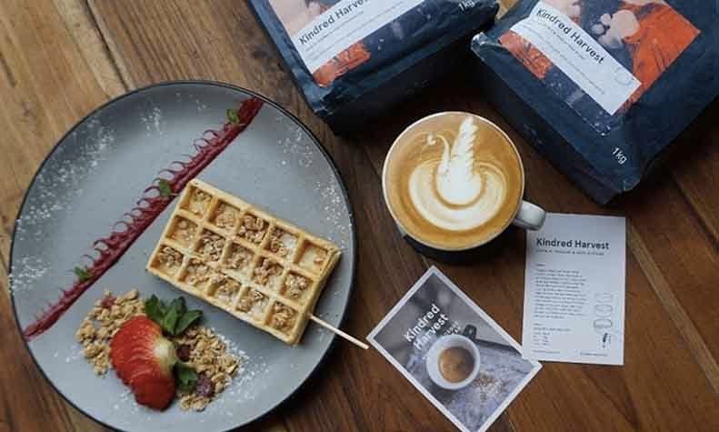 coffee bond sector 32 gurgaon