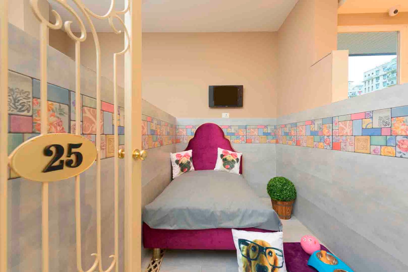 critterati-pet-hotel-galleria-market-gurgaon