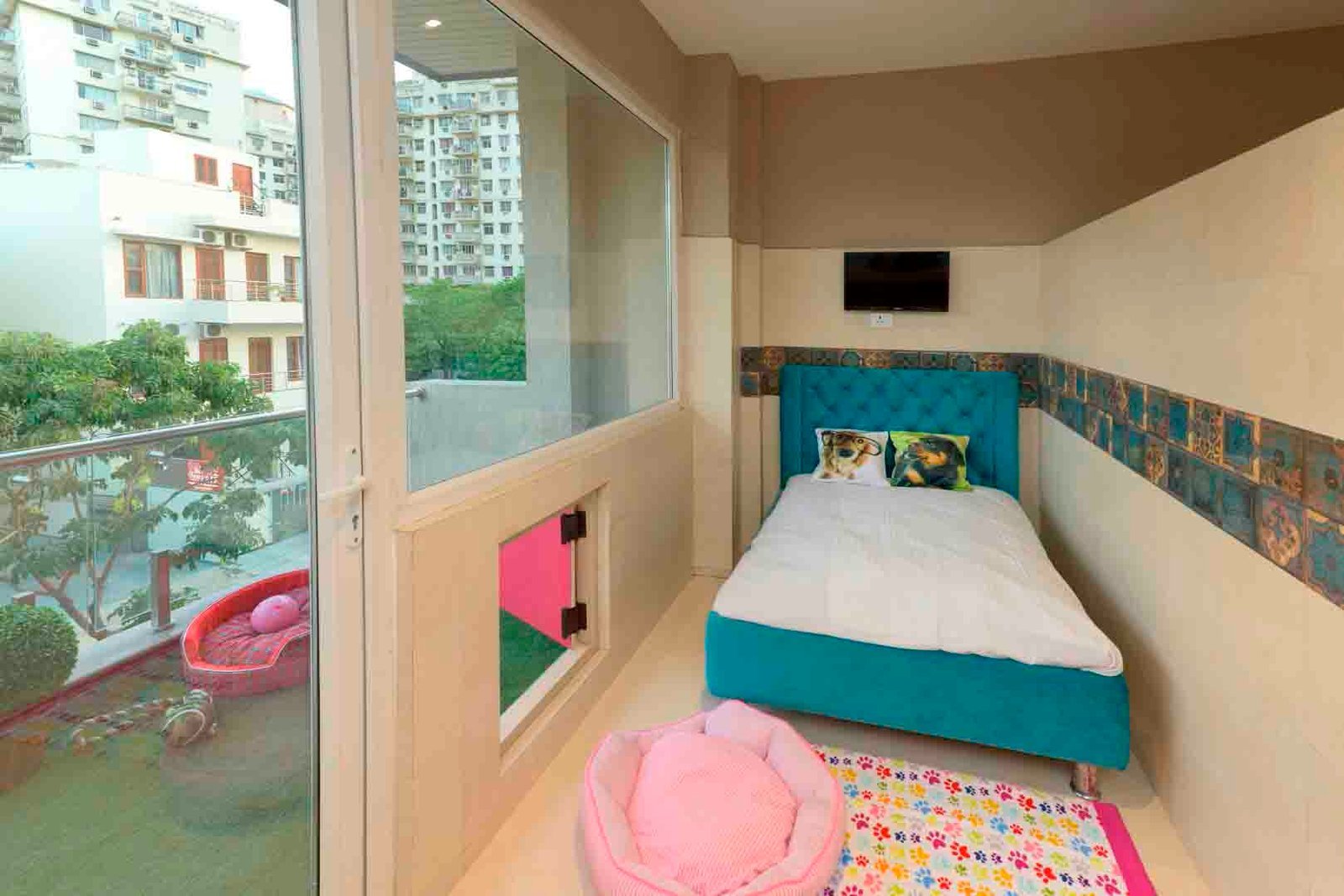 critterati-pet-hotel-galleria-market-gurgaon