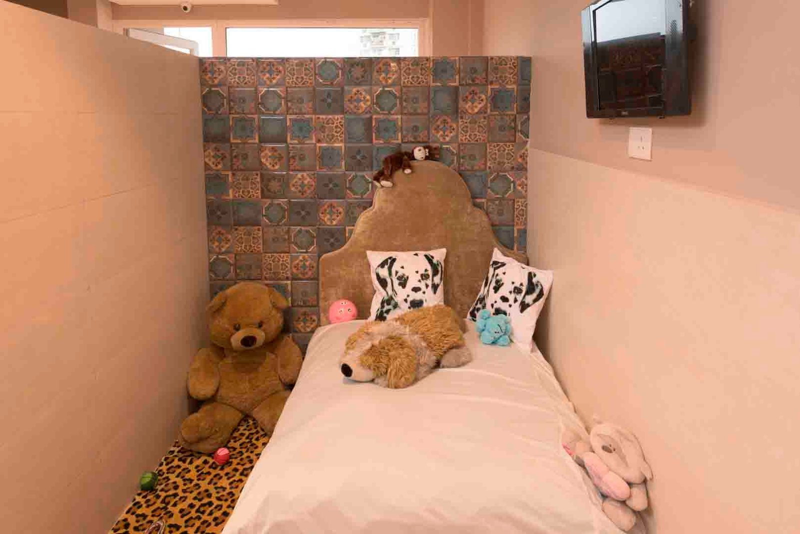 critterati-pet-hotel-galleria-market-gurgaon