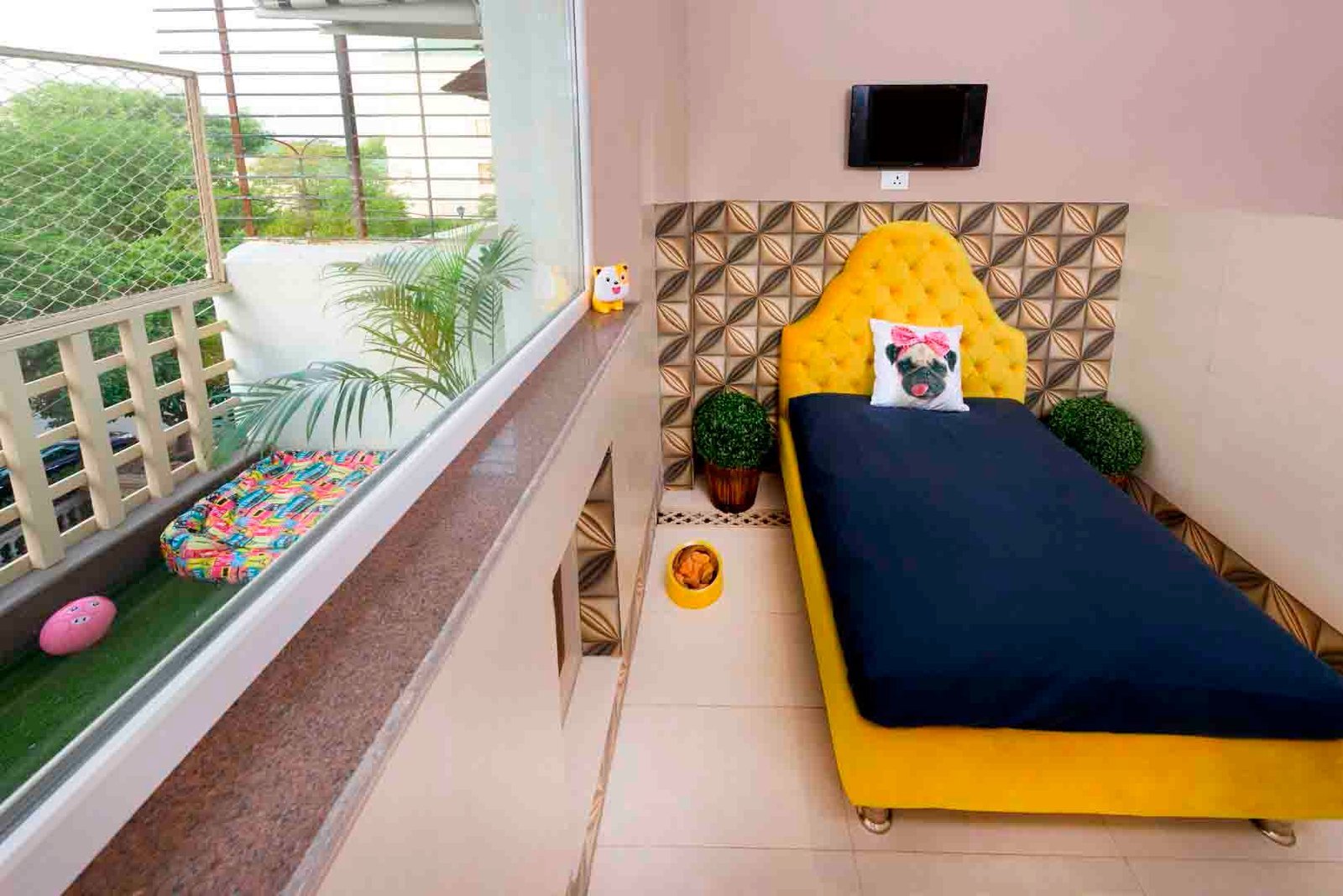 critterati-pet-hotel-galleria-market-gurgaon
