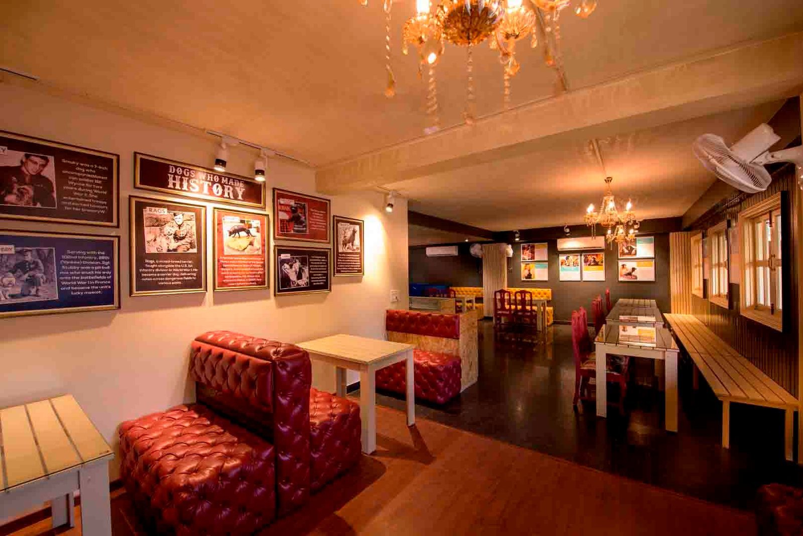 critterati-pet-hotel-galleria-market-gurgaon