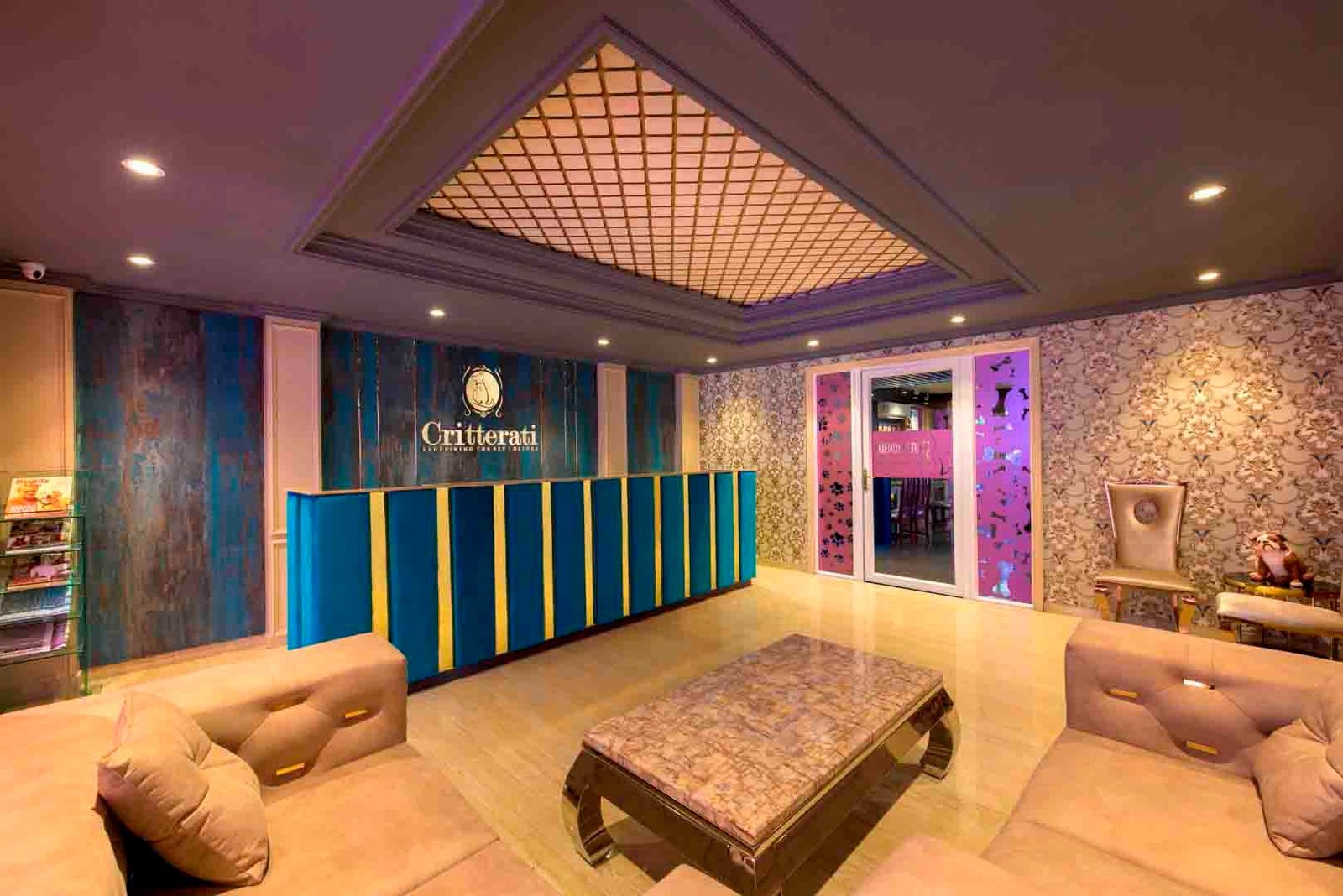 critterati-dog-hotel-galleria-market-gurgaon