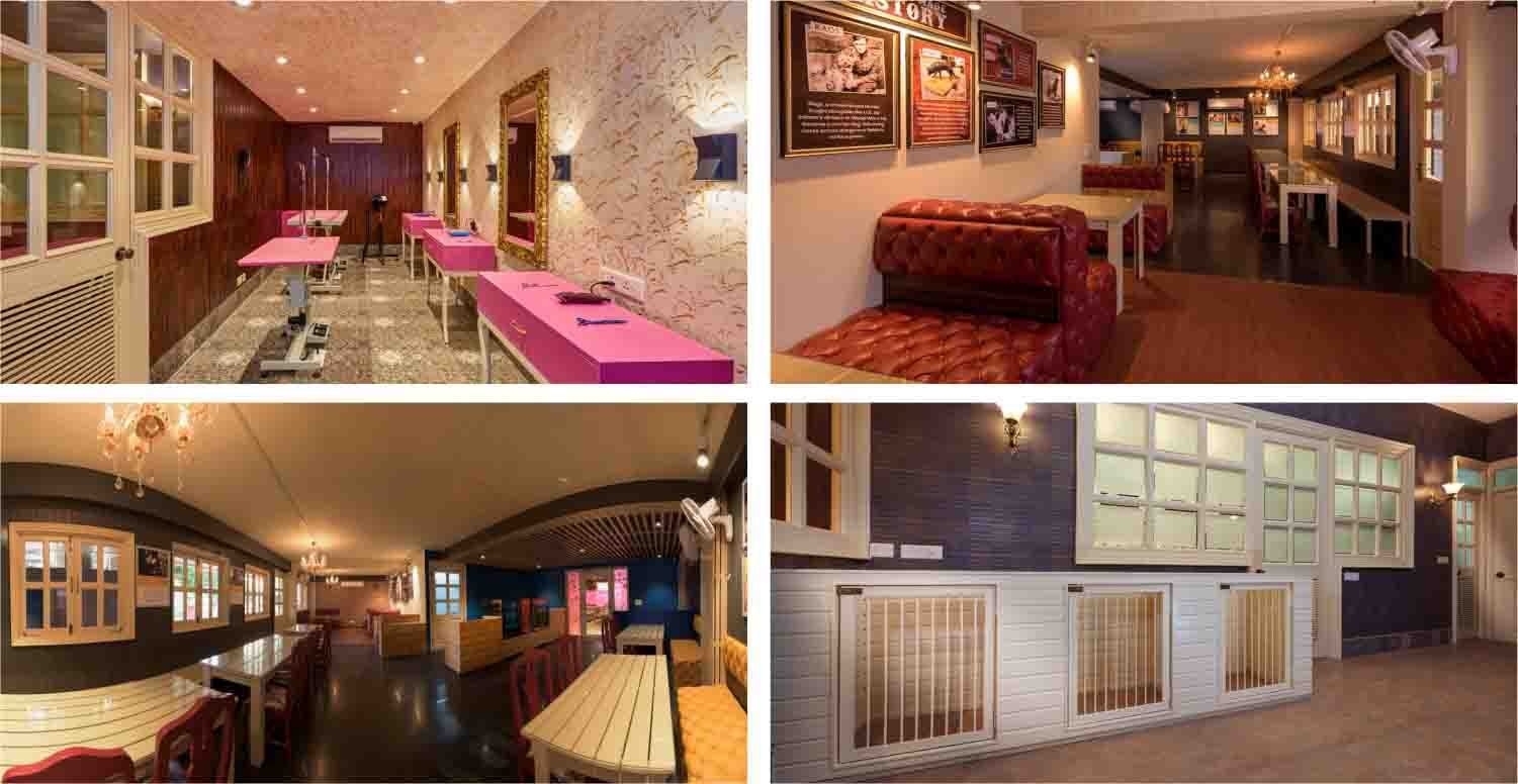 critterati-pet-hotel-galleria-market-gurgaon