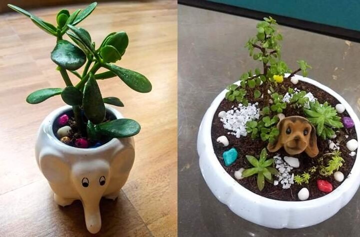 These Handmade Pots are All Your Home Requires!