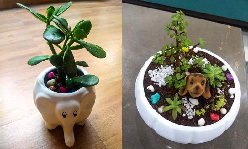 These Handmade Pots are All Your Home Requires!