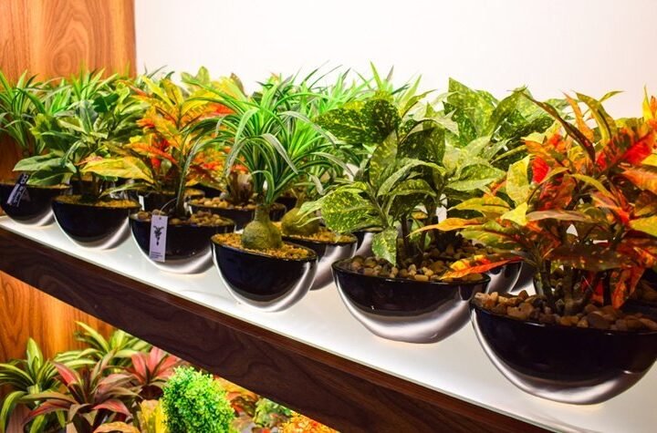 This Store Houses A Stunning Collection Of Artificial Flowers, Plants & More In Gurgaon