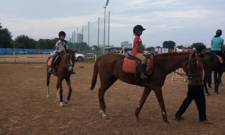 duke horse riding club gurgaon duke-horse-riding-club-gurgaon