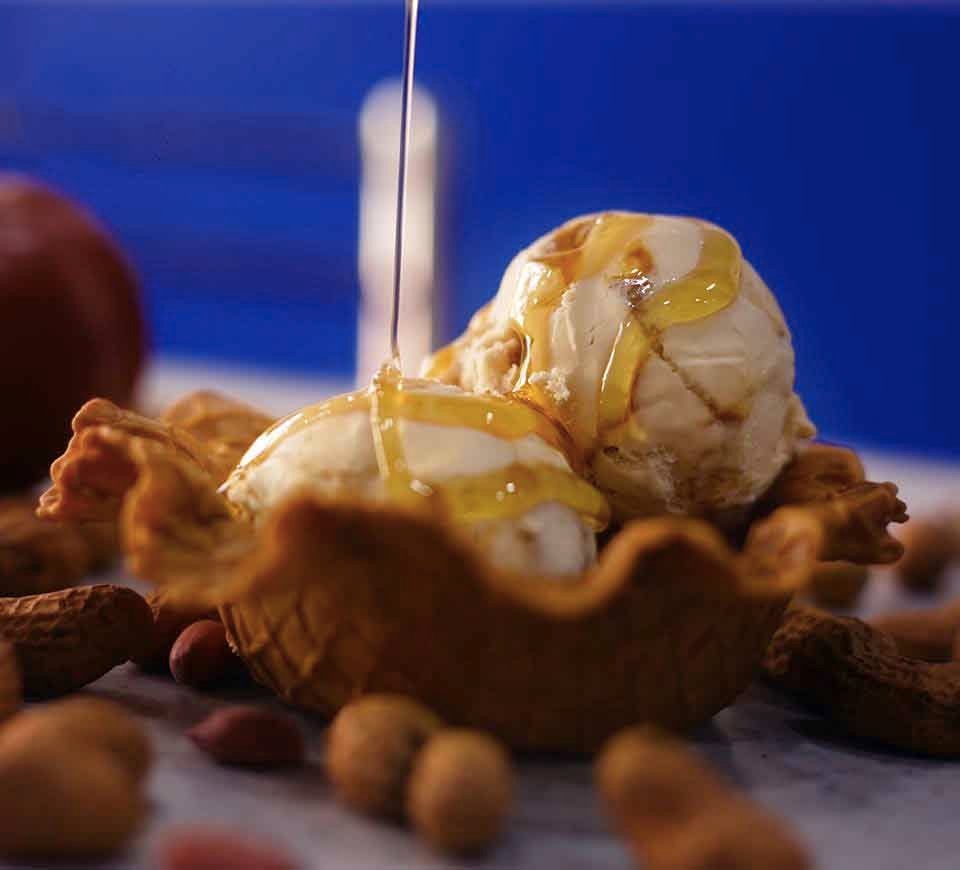best-ice-cream-parlours-gurgaon gianis-ice-cream-gurgaon