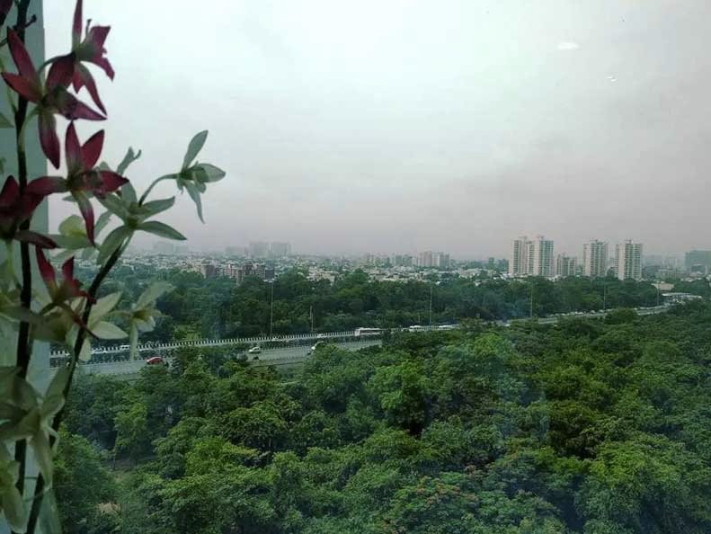 google-gurgaon-office