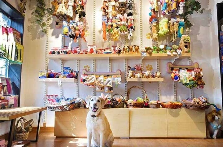 Good News for Pet Parents! Heads Up For Tails is Opening In Gurgaon!