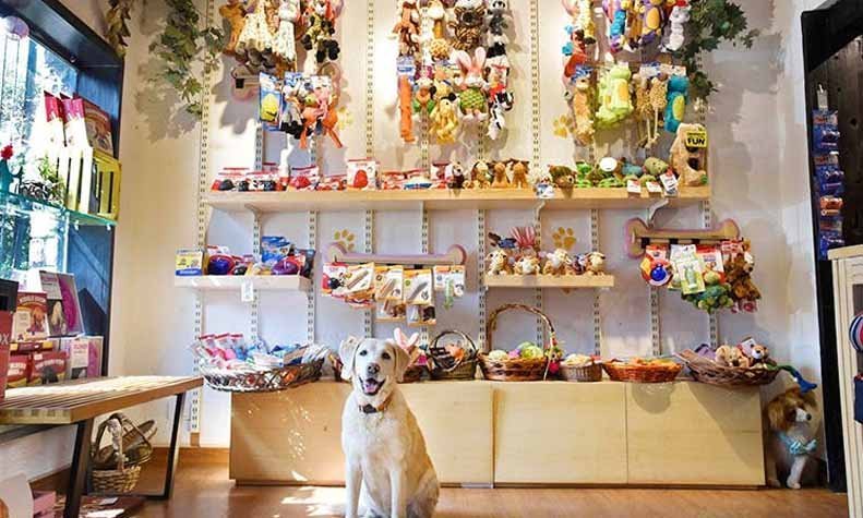 Good News for Pet Parents! Heads Up For Tails is Opening In Gurgaon!