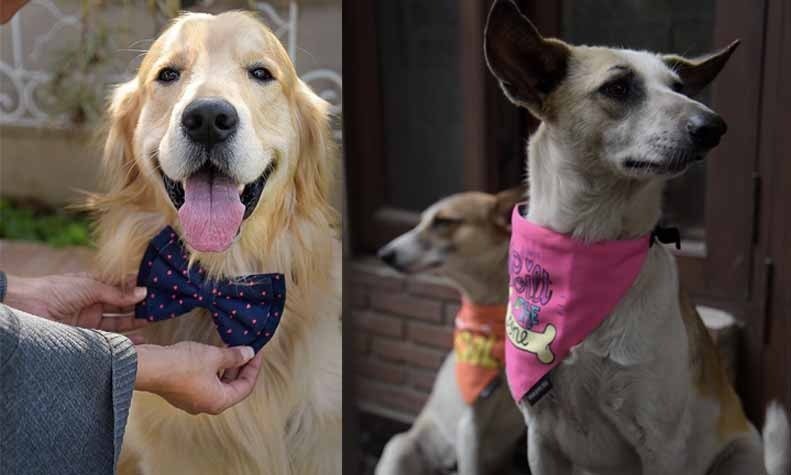 heads up for tails gurgaon heads-up-for-tails-gurgaon