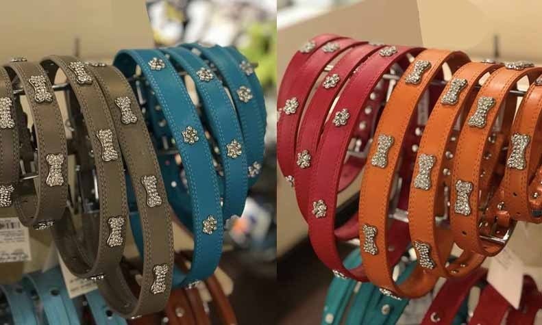 heads-up-for-tails-gurgaon