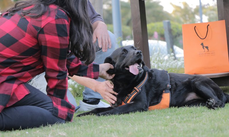 Le Méridien Gurgaon Presents Paw Friendly Brunch