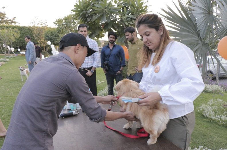 le meridien paw friendly brunch gurgaon