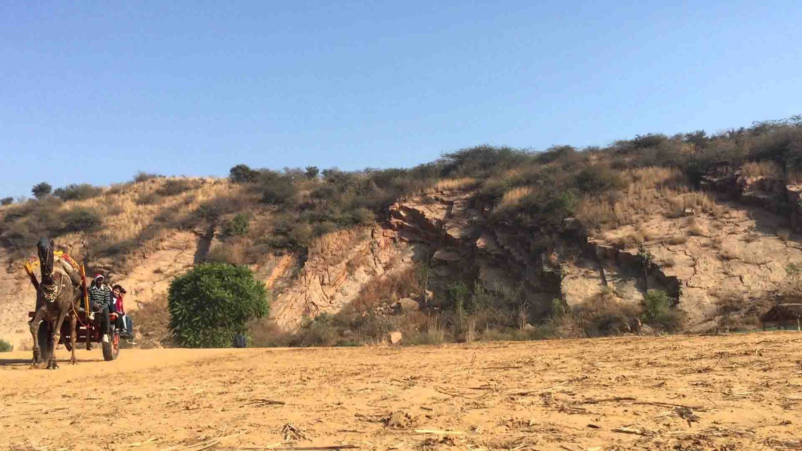 lohagarh-farms-sohna-road-gurgaon